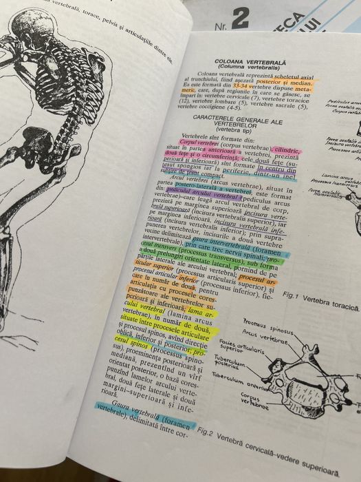 Anatomia Omului- Viorel Ranga
