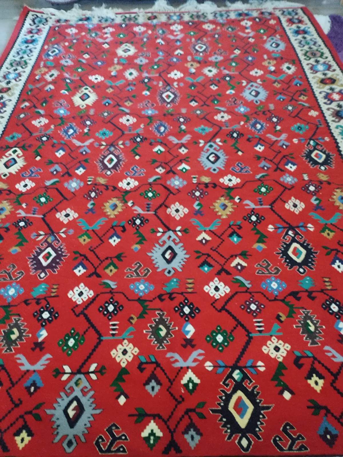 Чипровски килими Автентични