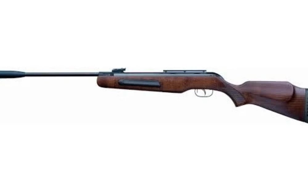 Arma tir Gamo Maxima 5,5
