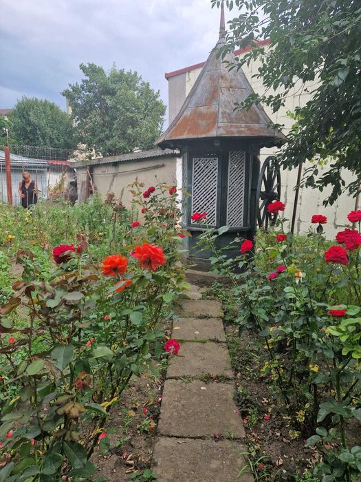 Casă cu istorie și potențial în inima Rădăuțiului