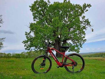 Планински електрически велосипед EcoBike S×4