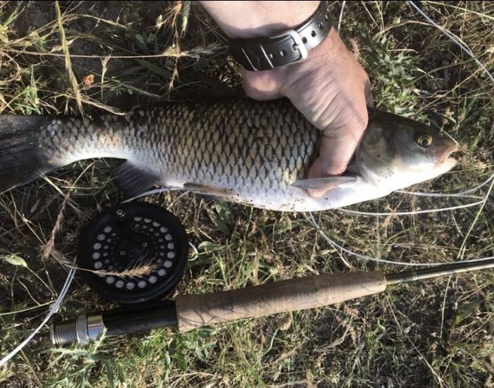 Изкуствени мухи за риболов на кефал