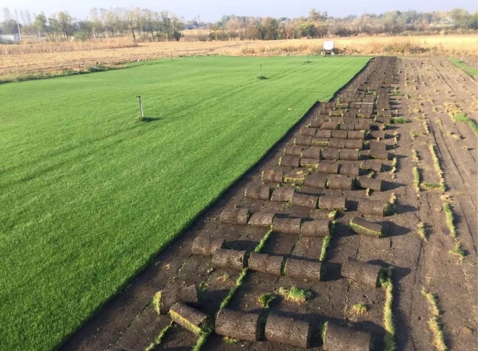 Gazon rulou - ferma gazon - irigatii