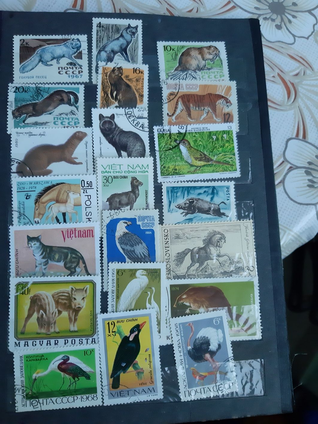 Класьор с марки от различни страни