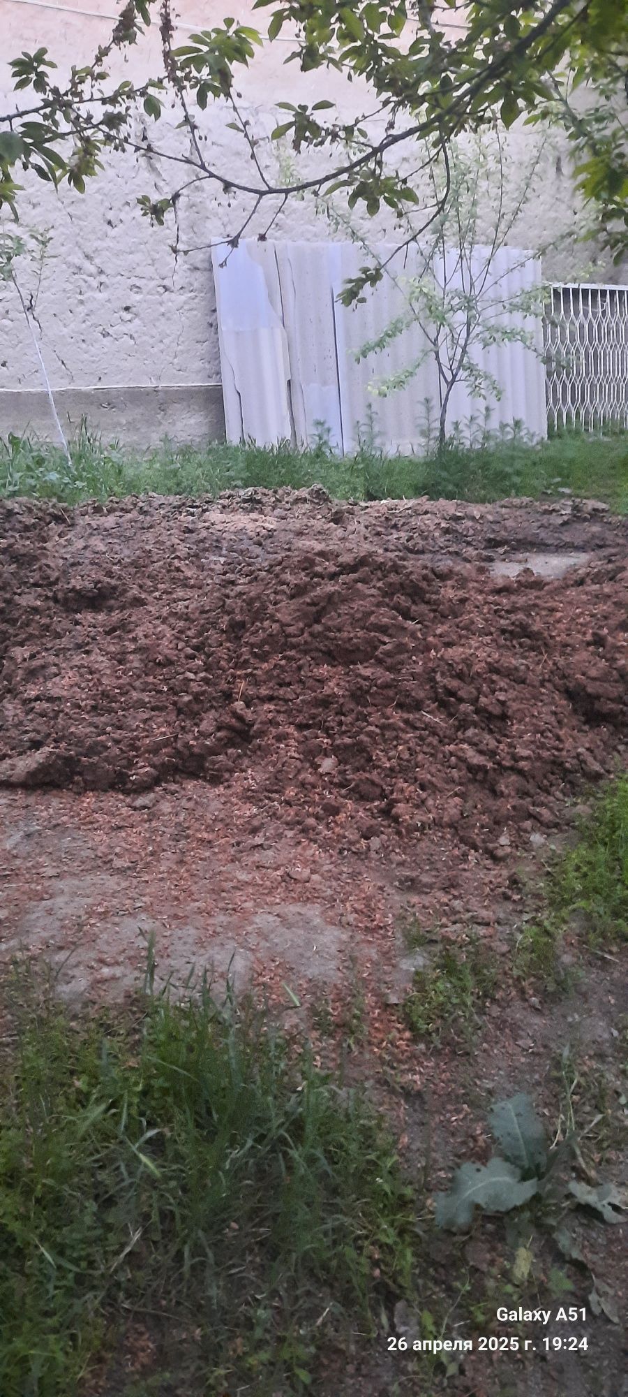 Пору гунг навосларники тозза. Бепул берамиз 2 мошин чикади