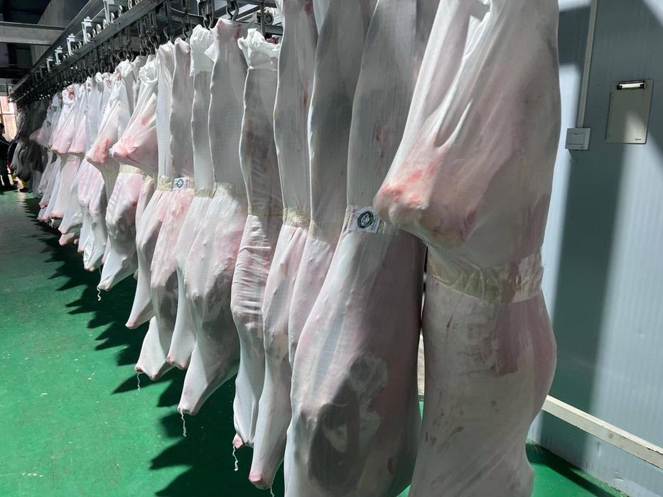 Свежее мясо Баранина Куй гушти