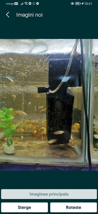 Filtre interne cu oxigenare