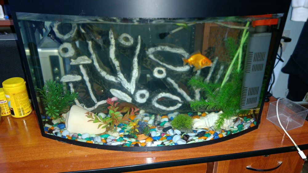 Akvrium sotiladi 750.000