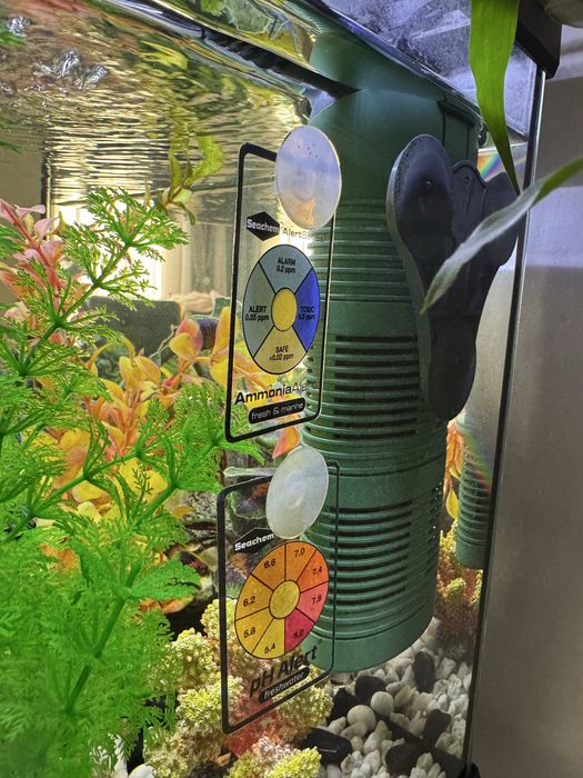 Аквариум оборудван 80 литра с шкаф