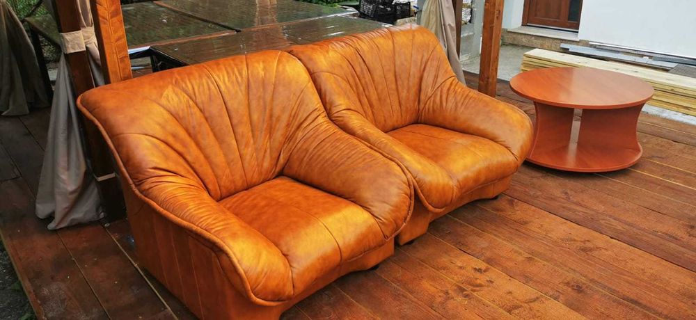 Set doua fotolii piele naturala