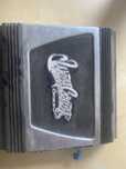 Vand amplificator auto