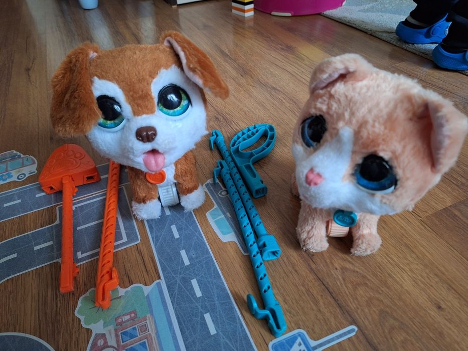 Куче и коте с повод