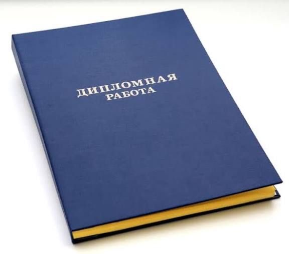 Пишу дипломную работу по АйТи направлению(IT)