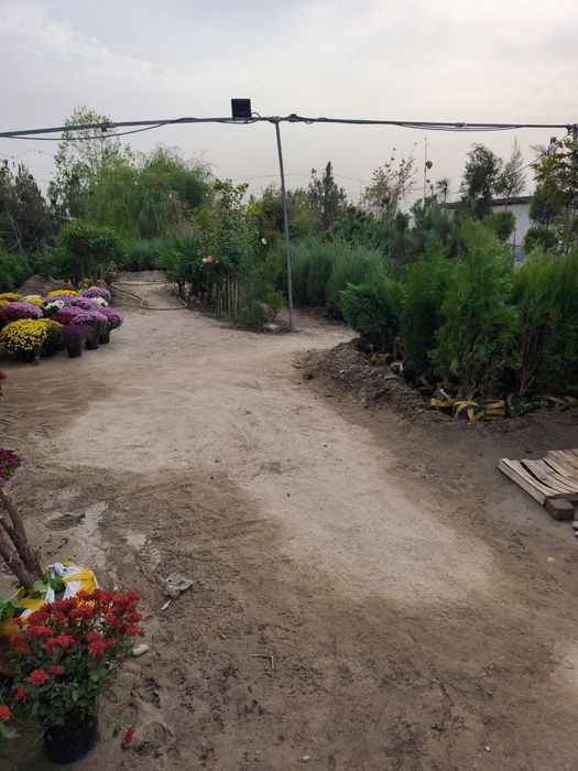 Арчалар 30 миндан Archalar 30 mingdan ADRIS Fod Sity ( AVANGART)