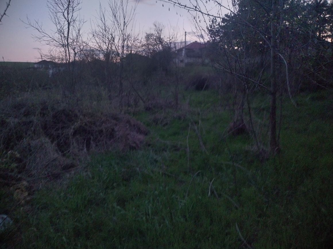 Село Цани Гинчево дворно място
