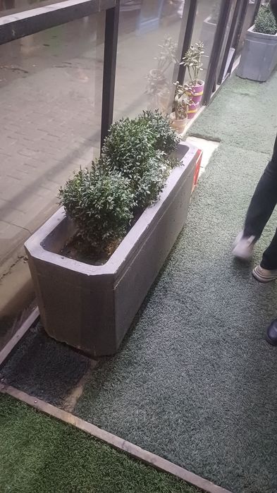 Vetrina muzlatgichlar