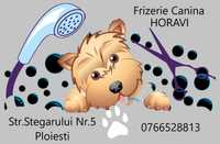 Tuns caini-frizerie/coafor canin HORAVI