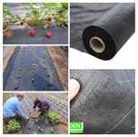 AGROTEXTIL,UV,100gr/mp,5.15x50m=750lei;5.15x100m=1425lei,CALITATIV