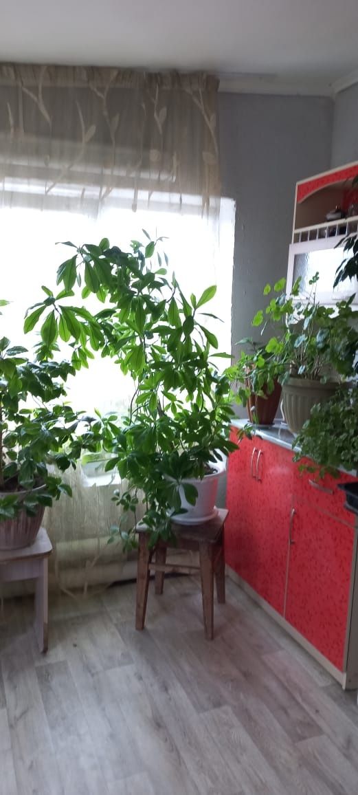 Продам дом в п.Таскала ЗК Возможен обмен.