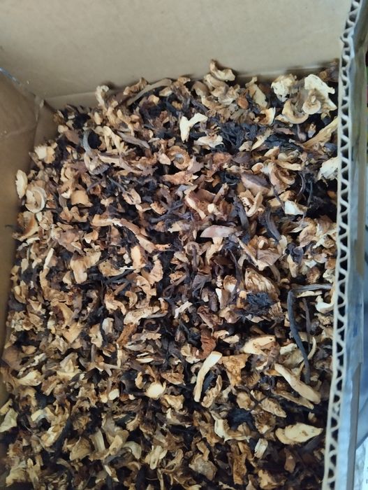 Продам сушеные грибы