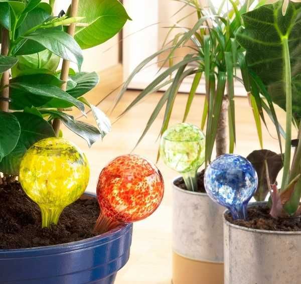 Set 4 Globuri de udare automata pentru plante de apartament