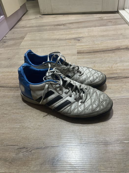 Найдены сороконожки