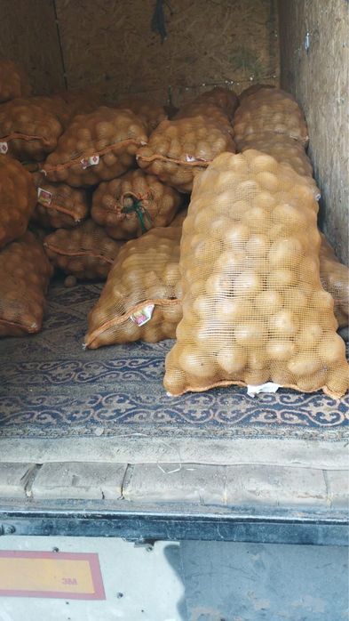 Картошка белая, 40 кг в сетке