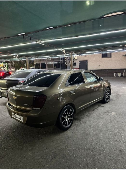 Srochno konlar soʻyladi idyal arzon narhda