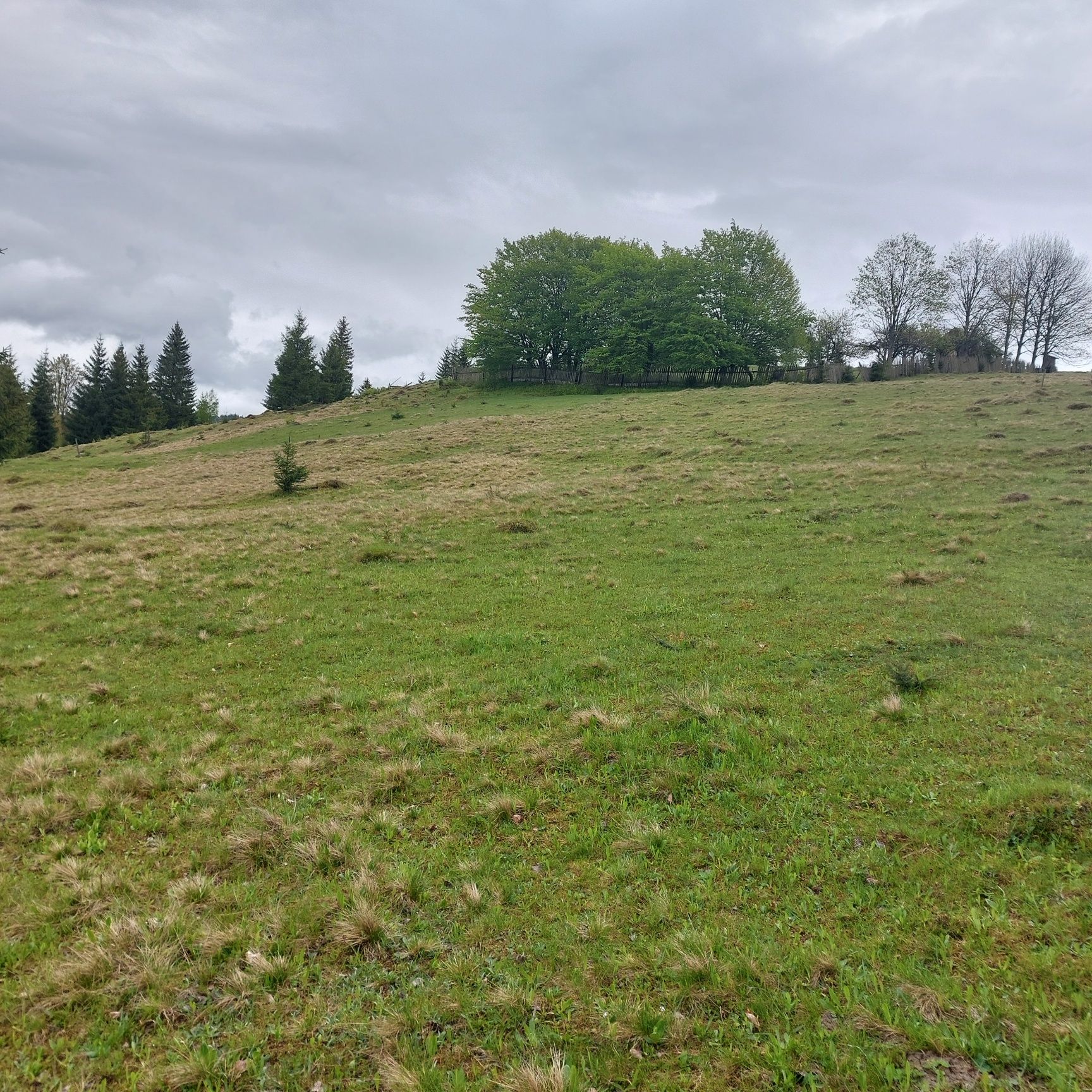 Vand teren in Bucovina!! 2.5 ha din care 7000 m2 intravilan