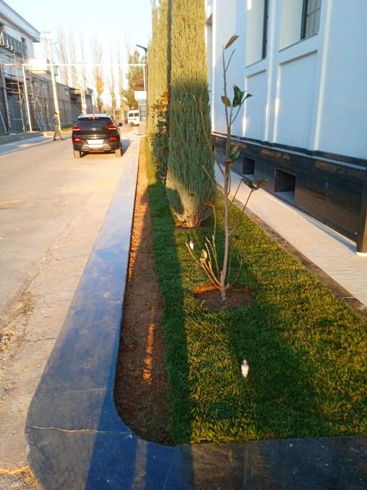 Rulonli gazon yotqizish xirmati mustahkam   sifatli  hamda  hamyonbob