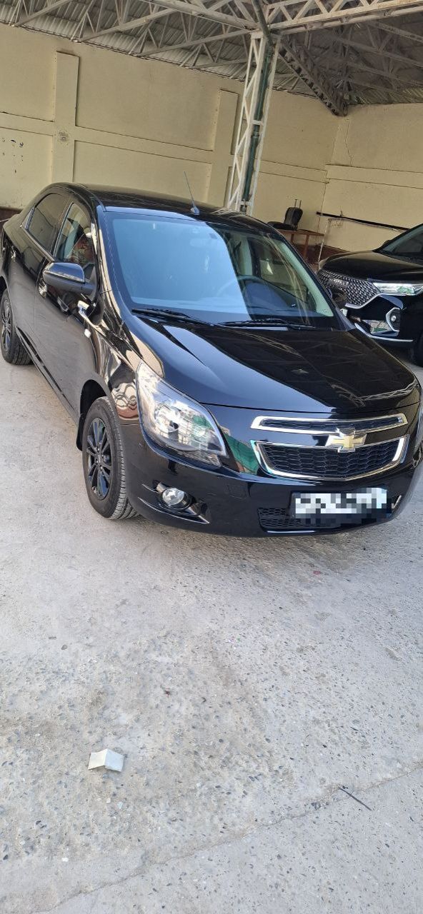 Cobalt Midnight 2025