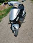 Scutere functional