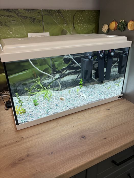 Vand Acvariu de 60 Litri Complect