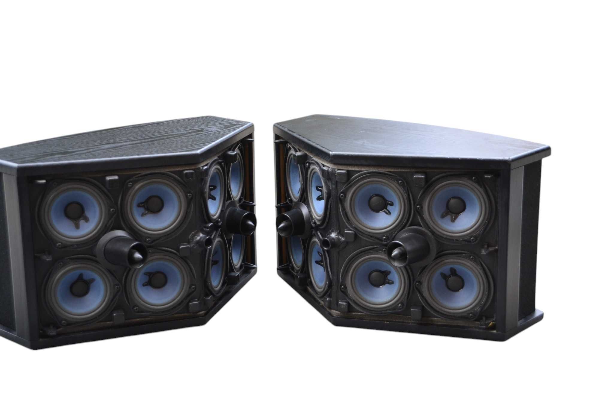 Boxe Bose model 901 Series VI