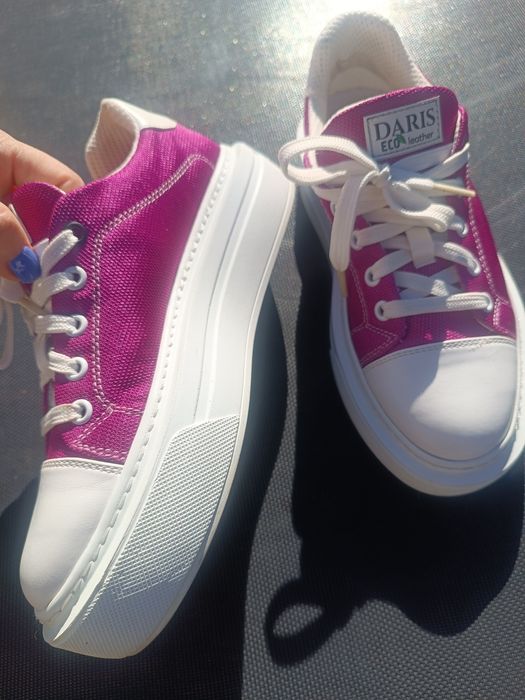 Кецове Daris циклама