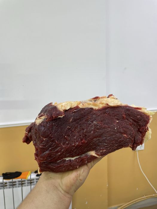 Обвалка, еттері Сиыр, жылқы,