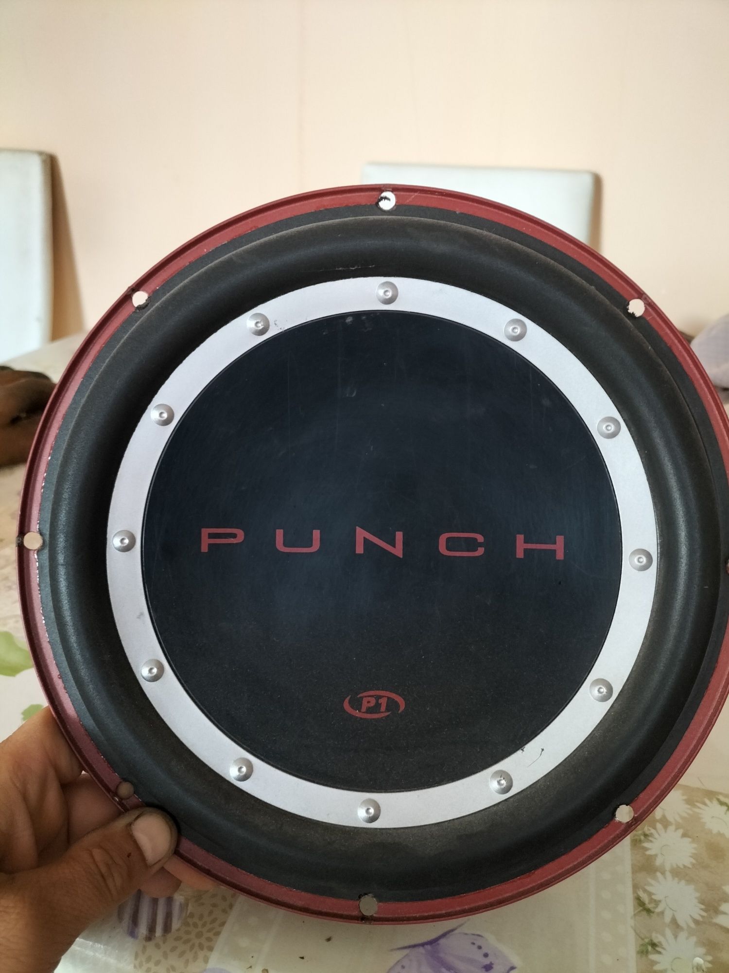 Rockford Fosgate Punch P1