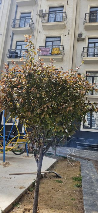 Квартира,новостройка,124кв метра