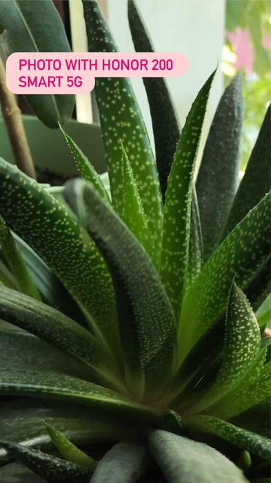Honor 200 smart 5g