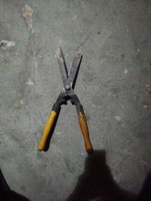 Bogʻ vositasi .qaychi