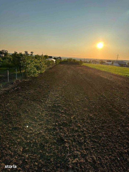 Teren Floresti, Simnicu de Sus, 3007 mp