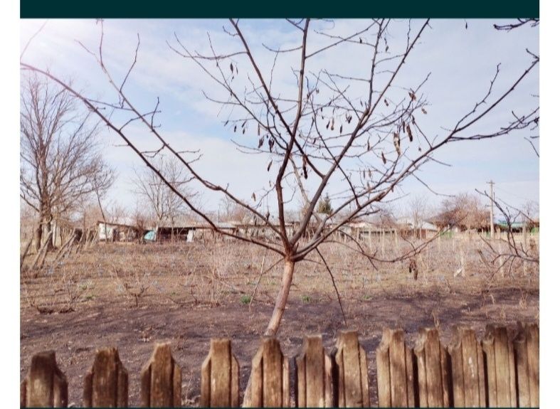 Vând Casa bătrânesca