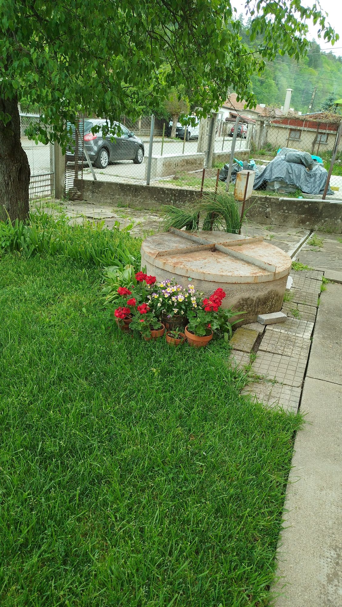 Почистване и озеленяване