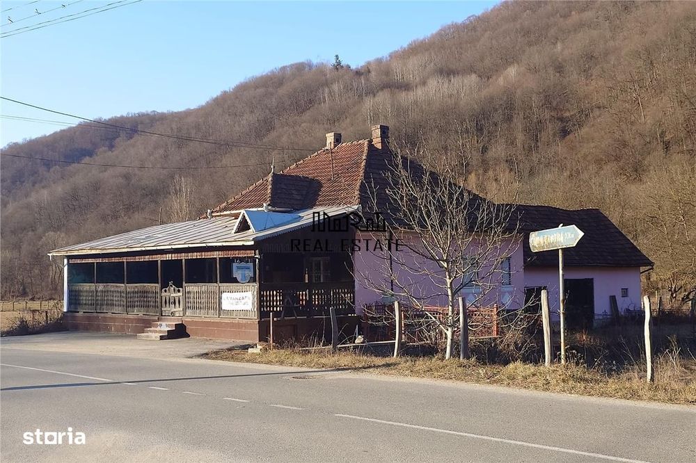 Proprietate in Apuseni - fosta pizzerie, ideala pentru afacere sau loc