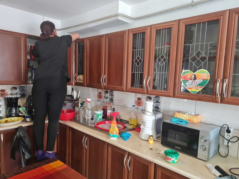 Servicii de curățenie, Amenajare gradini, curti, Desinsectie cu Abur