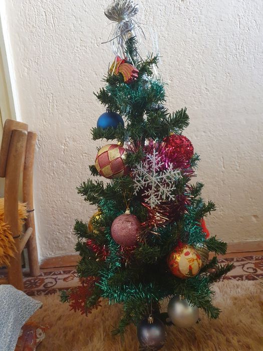 Коледна елха по 30 лв