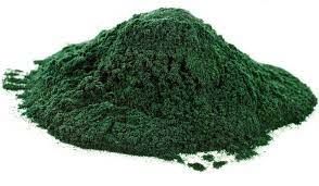 Спирулина пищевая добавка