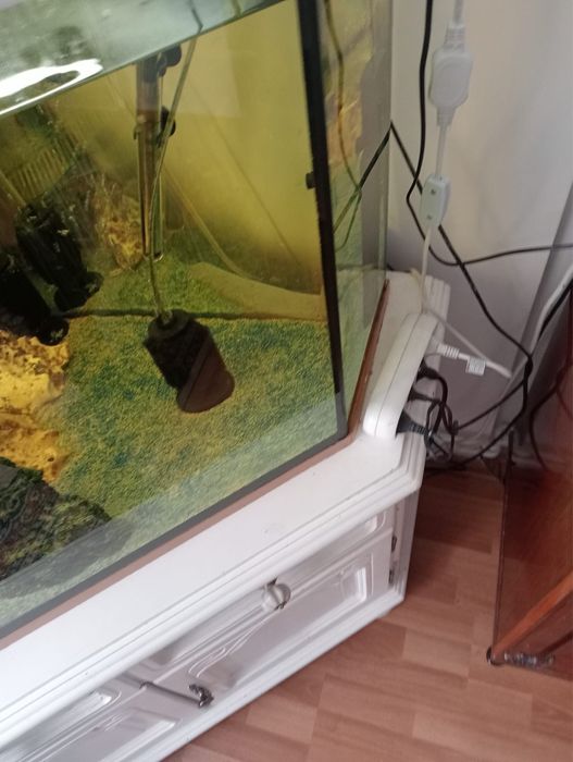 Vand Acvariu pe colt