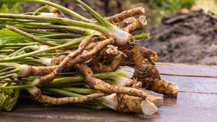 Hrean proaspãtã din gridinã