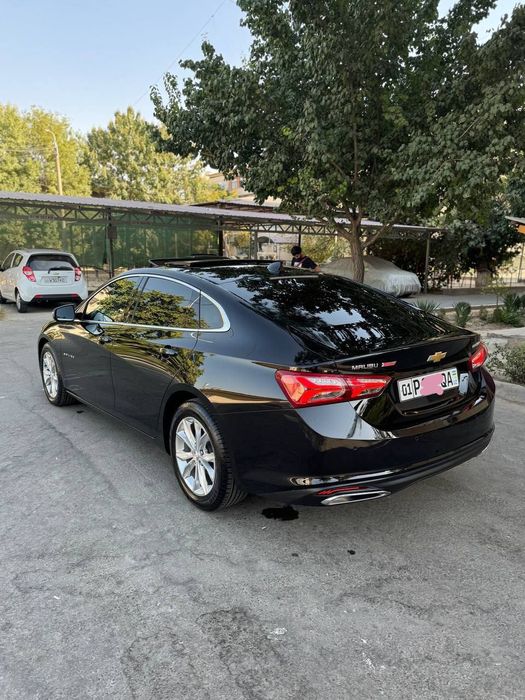 Малибу. .2022   Примэр.  Кора.